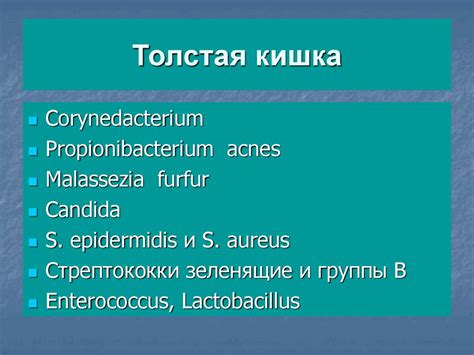 Влияние внешних факторов на образование мицелия