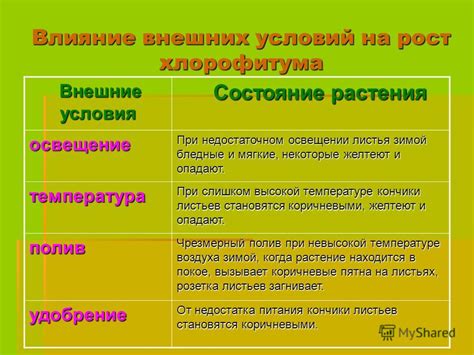 Влияние внешних факторов на развитие умеренных диффузных нарушений биоэлектрической активности головного мозга