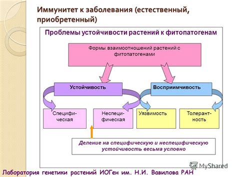 Влияние внешних факторов на ремиссию