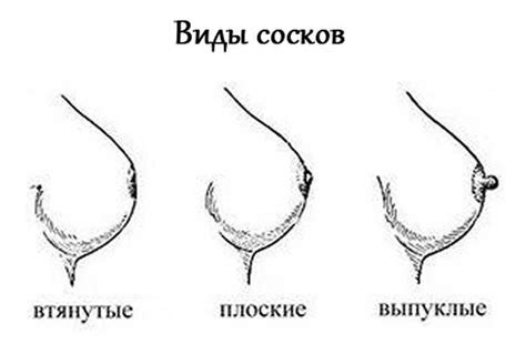 Влияние втянутости соска на грудное вскармливание