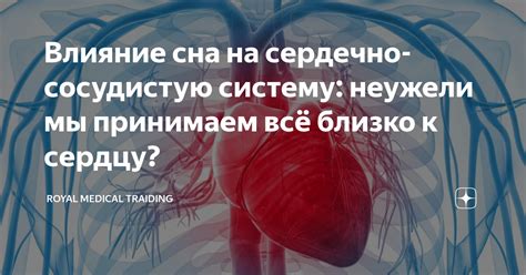 Влияние выносливости на кровообращение и сердечно-сосудистую систему