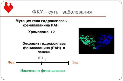 Влияние гена фенилкетонурии на уровень фенилаланина в организме