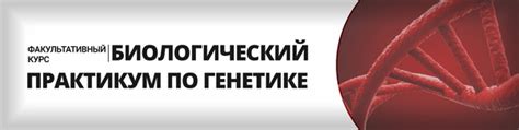 Влияние генетического фона на эпистатическое действие генов