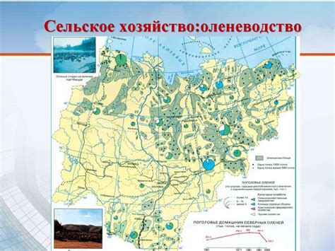 Влияние географического положения реки на климат