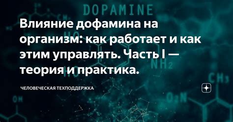 Влияние дофамина на работу эндокринной системы