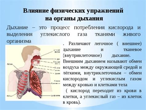 Влияние живого сечения на обмен воздуха