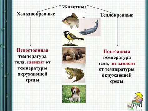 Влияние животного белка на обмен веществ