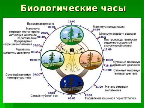 Влияние забитости на жизнь