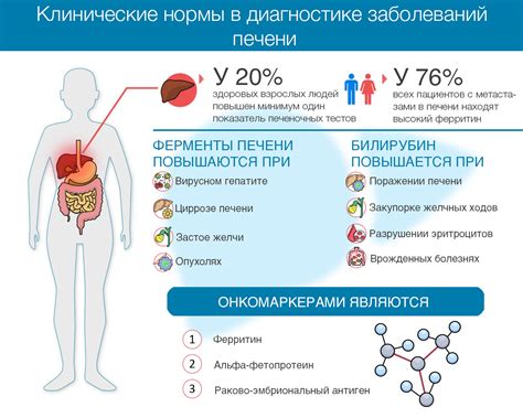 Влияние заболеваний на уровень щелочной фосфатазы