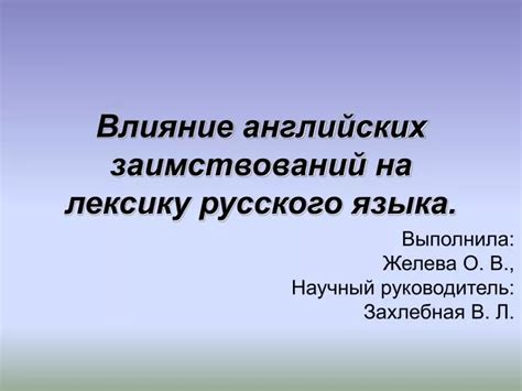 Влияние заимствований на лексическое разнообразие