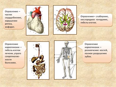 Влияние интраперитонеального положения на организм: