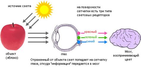 Влияние и восприятие