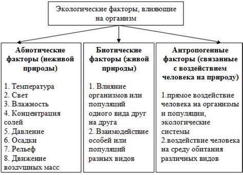 Влияние ключевого аспекта на результаты: основные факторы и их важность