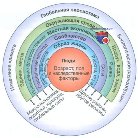 Влияние культурно-социальных факторов на интерпретацию сна с высококачественным завтраком жемчужно-белых шариков
