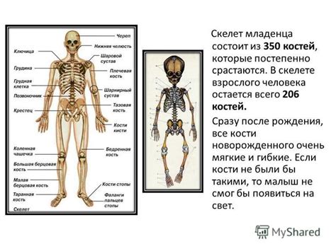 Влияние культуры и верований на толкование снов о скелете