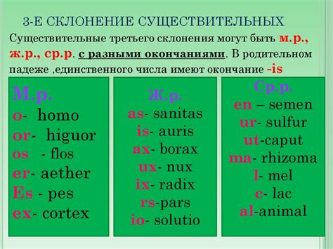 Влияние латинских имен на современные языки