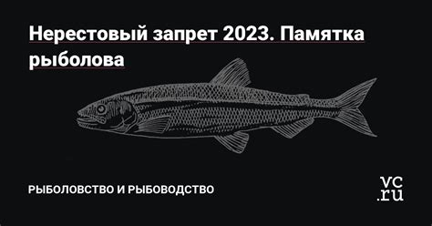 Влияние лески 25lb на рыболовство: особенности и преимущества