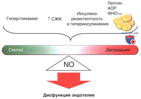 Влияние метаболического препарата на организм