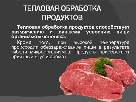 Влияние методов обработки на вкус и структуру мяса