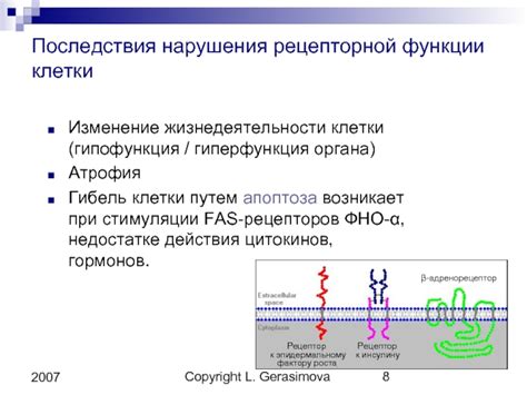 Влияние нарушений рецепторной функции