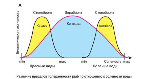 Влияние нарушенной толерантности на организм