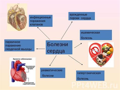 Влияние насыщенных жирных кислот на сердечно-сосудистую систему