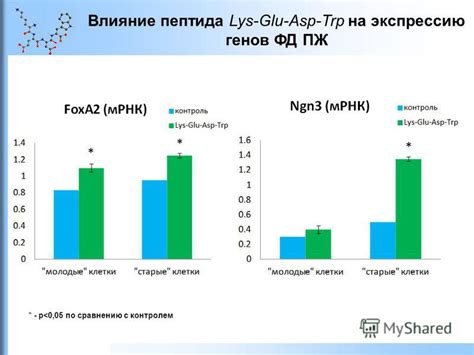 Влияние натрия диуретического пептида на почечную функцию