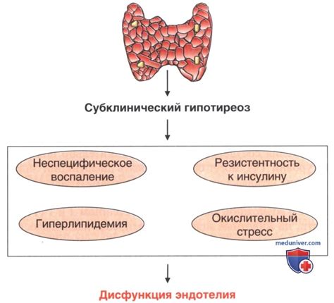 Влияние на плотность щитовидной железы