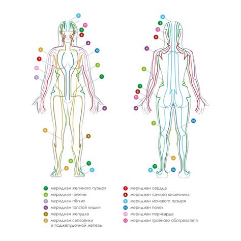 Влияние на энергетические меридианы