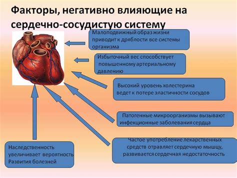 Влияние невыдержаваемого течения на сердце и сосуды