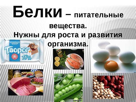 Влияние неполноценного белка на организм