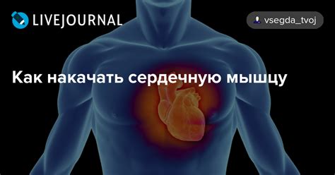 Влияние неправильного образа жизни на сердечную ритмику