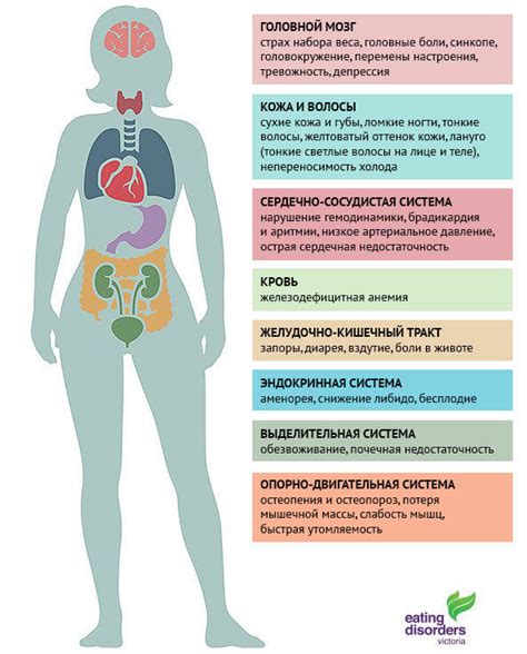 Влияние нервной анорексии на организм