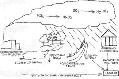 Влияние нитрит иона на водные экосистемы