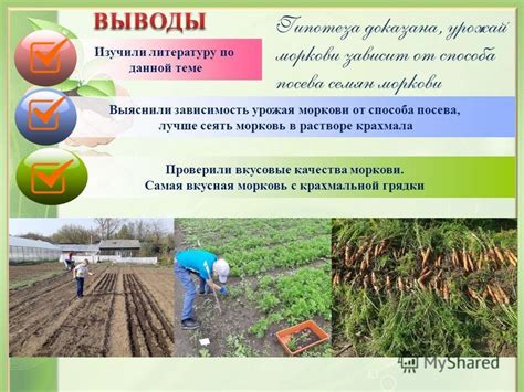 Влияние нормы посева на качество урожая