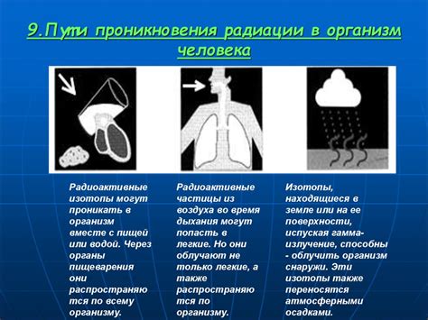 Влияние окружающей среды на поток мыслей о рыбе женщины: исследование и анализ