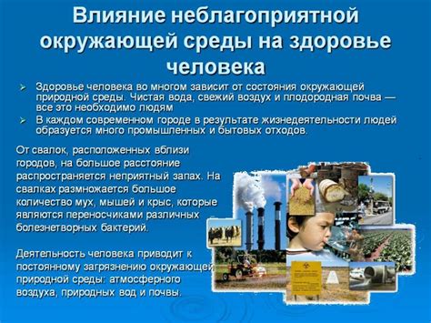 Влияние окружающей среды на формирование избалованности