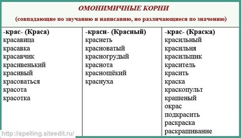 Влияние омонимичных корней на понимание смысла слова