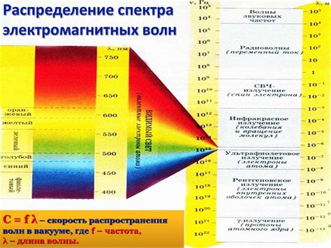 Влияние освещенности и частоты осадков