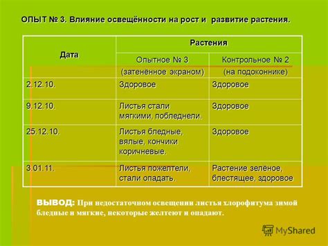 Влияние ответственности на рост и развитие