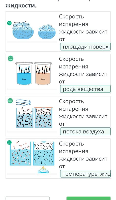 Влияние отсутствия воды на появление потребности в жидкости