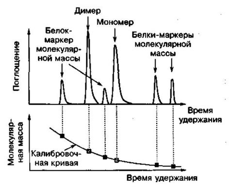 Влияние отсутствия непрямой гель-фильтрации на исследования