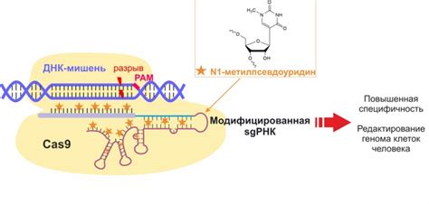 Влияние отсутствия референтных значений РНК на диагностику и лечение