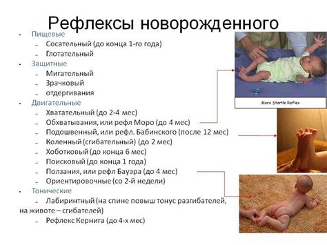 Влияние отсутствия сосательного рефлекса на развитие ребенка