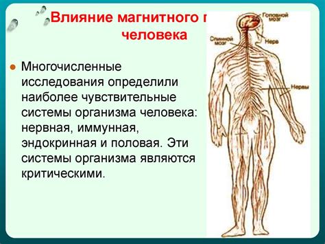 Влияние пан американо на организм?