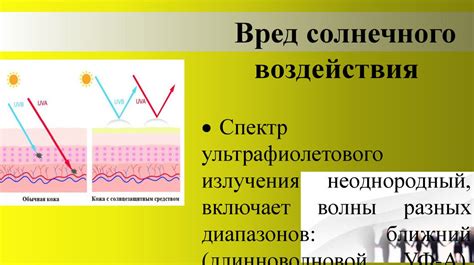 Влияние первых лучей солнца на человека