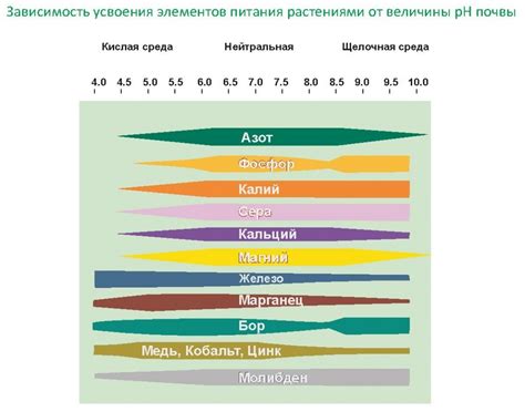 Влияние периода вегетации на сельскохозяйственные культуры