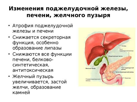 Влияние питания на реактивное увеличение поджелудочной железы