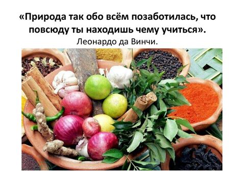 Влияние пищевых продуктов