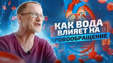 Влияние повышенного RBC на кровеносную систему